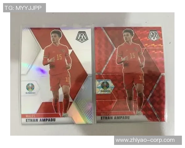 帕尼尼足球球星卡与卡册收藏指南揭示球迷收藏魅力与投资潜力 帕尼尼足球球星卡与卡册收藏指南揭示球迷收藏魅力与投资潜力