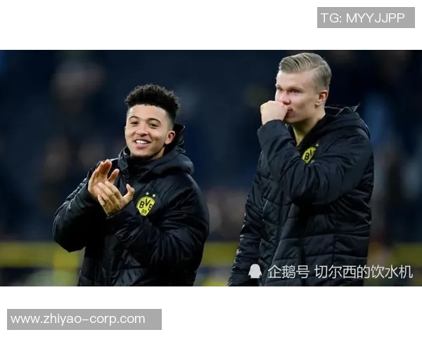 足球球星找回密码之路：从迷失到重生的传奇故事